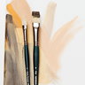Imperial Professional Bristle Brush Sampler 10 Set - (87468) Imperial Professional Bristle Brush Sampler 10 Set - (87468)