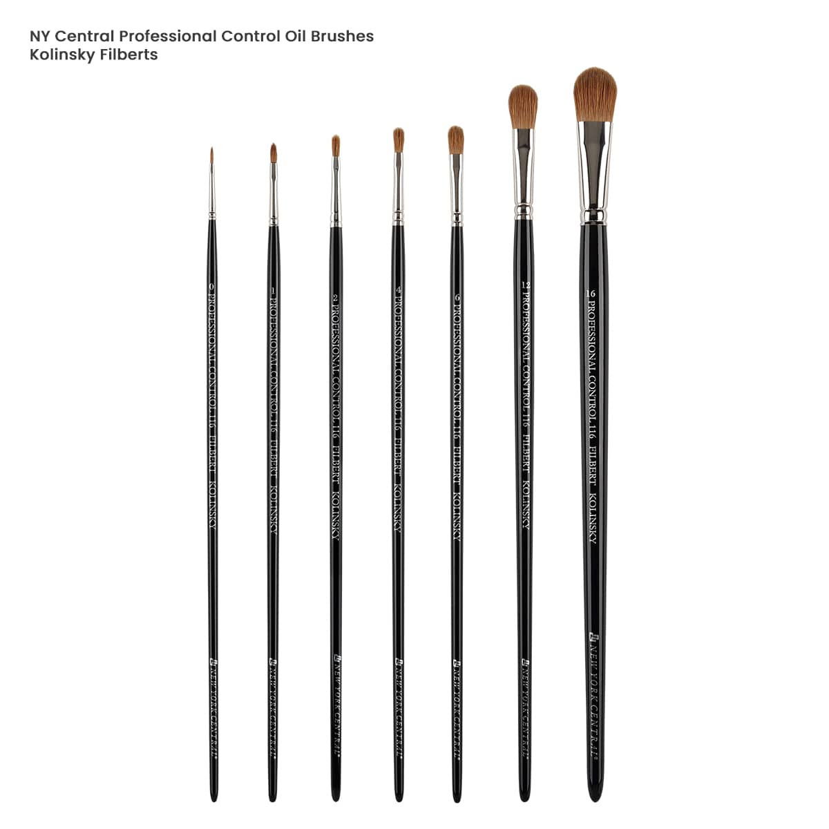 New York Central Pro Control Brushes