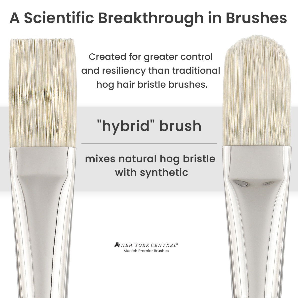 New York Central Munich Premier Long Handled Brushes