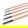 Princeton Catalyst Long Handle Brushes Princeton Catalyst Long Handle Brushes