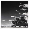 Ampersand Claybord Smooth 1/8" Flat Panel 5"x7" Pack of 3 - (63376) Ampersand Claybord Smooth 1/8" Flat Panel 5"x7" Pack of 3 - (63376)