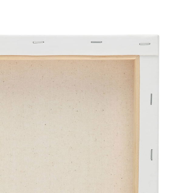 Creative Inspirations Cotton Stretched Canvas Packs 5/8" Deep Creative Inspirations Cotton Stretched Canvas Packs 5/8" Deep