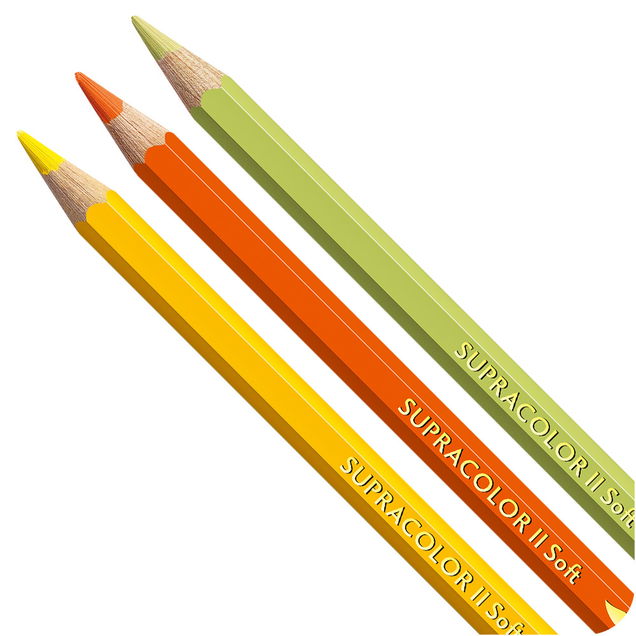 Faber-Castell Albrecht Durer Watercolor Pencil Faber-Castell Albrecht Durer Watercolor Pencil