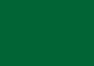 Molotow One4All Marker 2mm Mister Green - (200014233)
