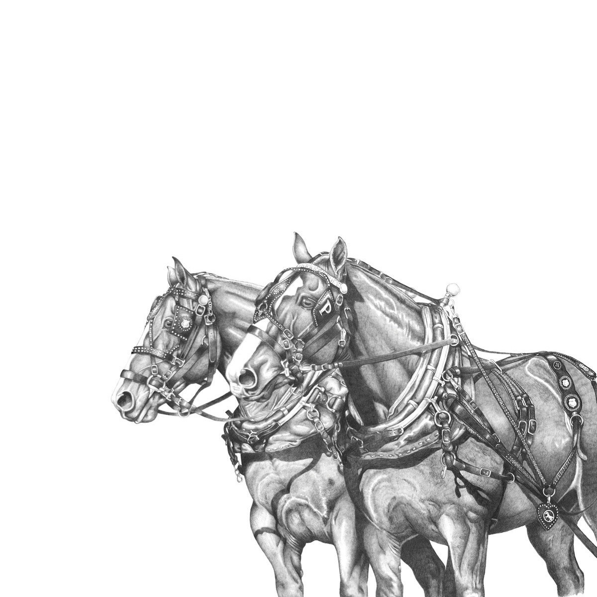 Faber-Castell 9000 Pencil