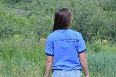 Royal Blue with Navy Ringer T-Shirt