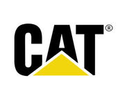 Cat Cat