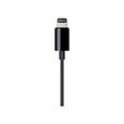 Apple - Lightning to 3.5mm Audio Cable, 1M Apple - Lightning to 3.5mm Audio Cable, 1M