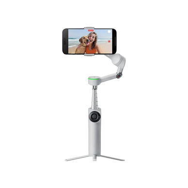 Insta360 - Flow 2 Pro Standard Bundle - Stone Gray