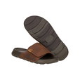 SHORE SLIDE CLASSIC DBR/DLB SHORE SLIDE CLASSIC DBR/DLB