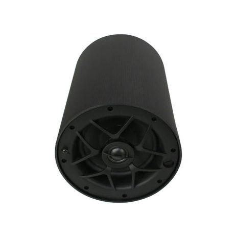 Origin Acoustics - 6", 2 Way 70-100v Line Pendant Speaker - Black