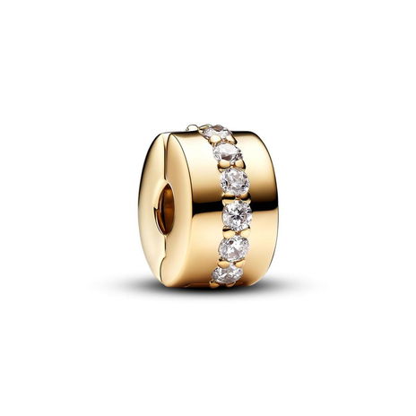 Clear Sparkling Row Clip Charm #761972C01