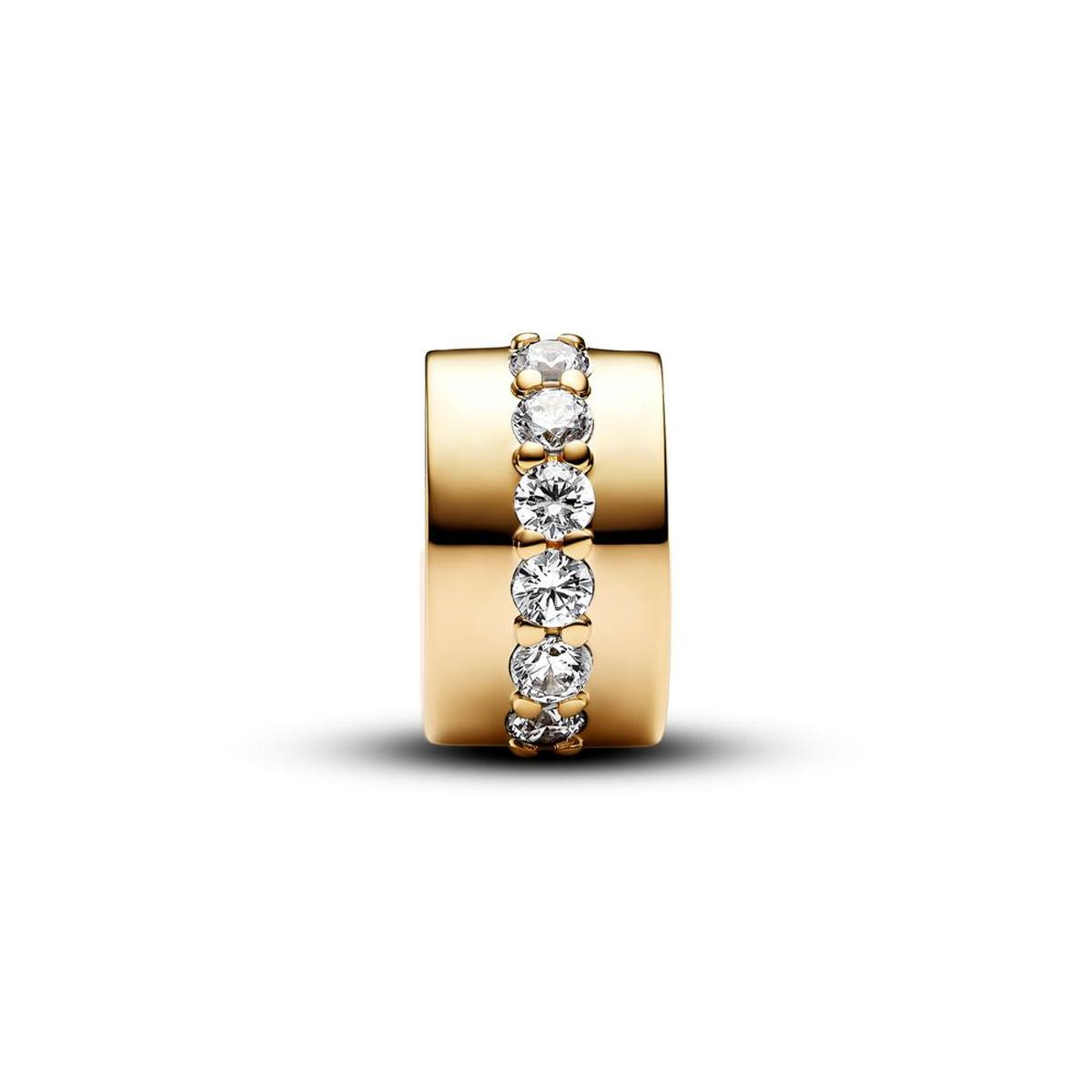 Clear Sparkling Row Clip Charm #761972C01