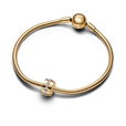 Clear Sparkling Row Clip Charm #761972C01 Clear Sparkling Row Clip Charm #761972C01