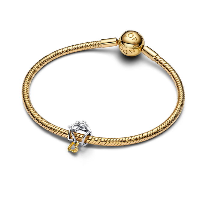 Home Silver And 14K Gold-Plated Charm