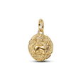 Lion 14K Gold-Plated Medallion W Clr Zir Lion 14K Gold-Plated Medallion W Clr Zir