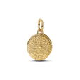 Lion 14K Gold-Plated Medallion W Clr Zir Lion 14K Gold-Plated Medallion W Clr Zir
