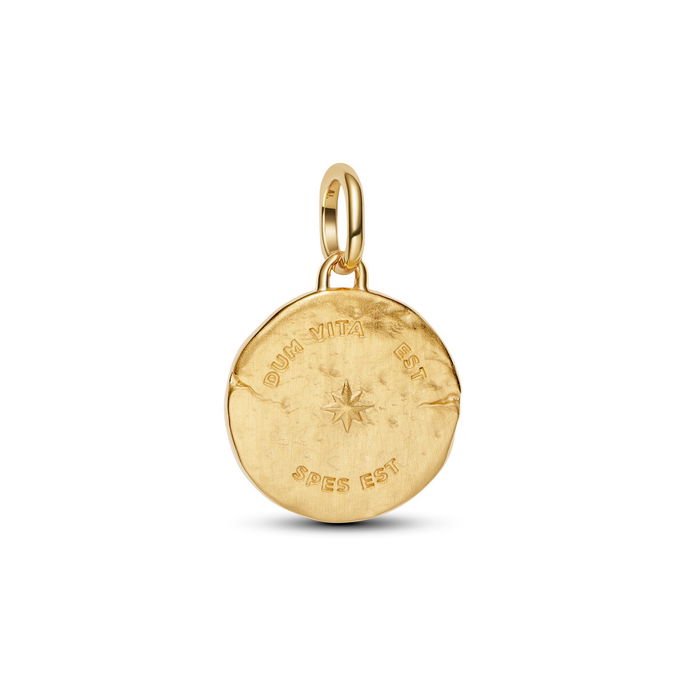 Swallow 14K Gold-Plated Medallion W Clr