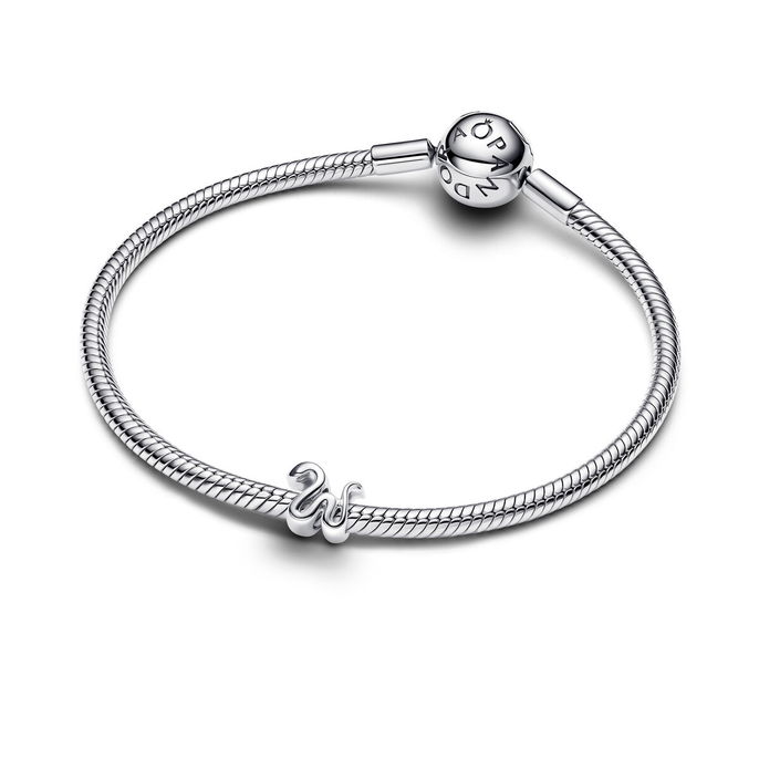 Snake Mini Charm Snake Mini Charm