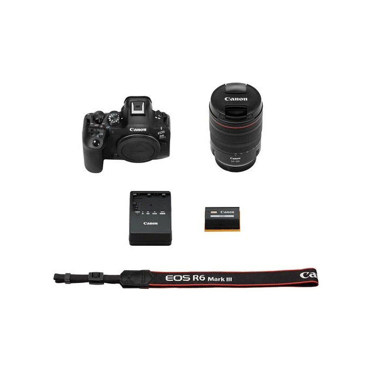 Canon - EOS R6 Mark III with 25-105mm USM lens
