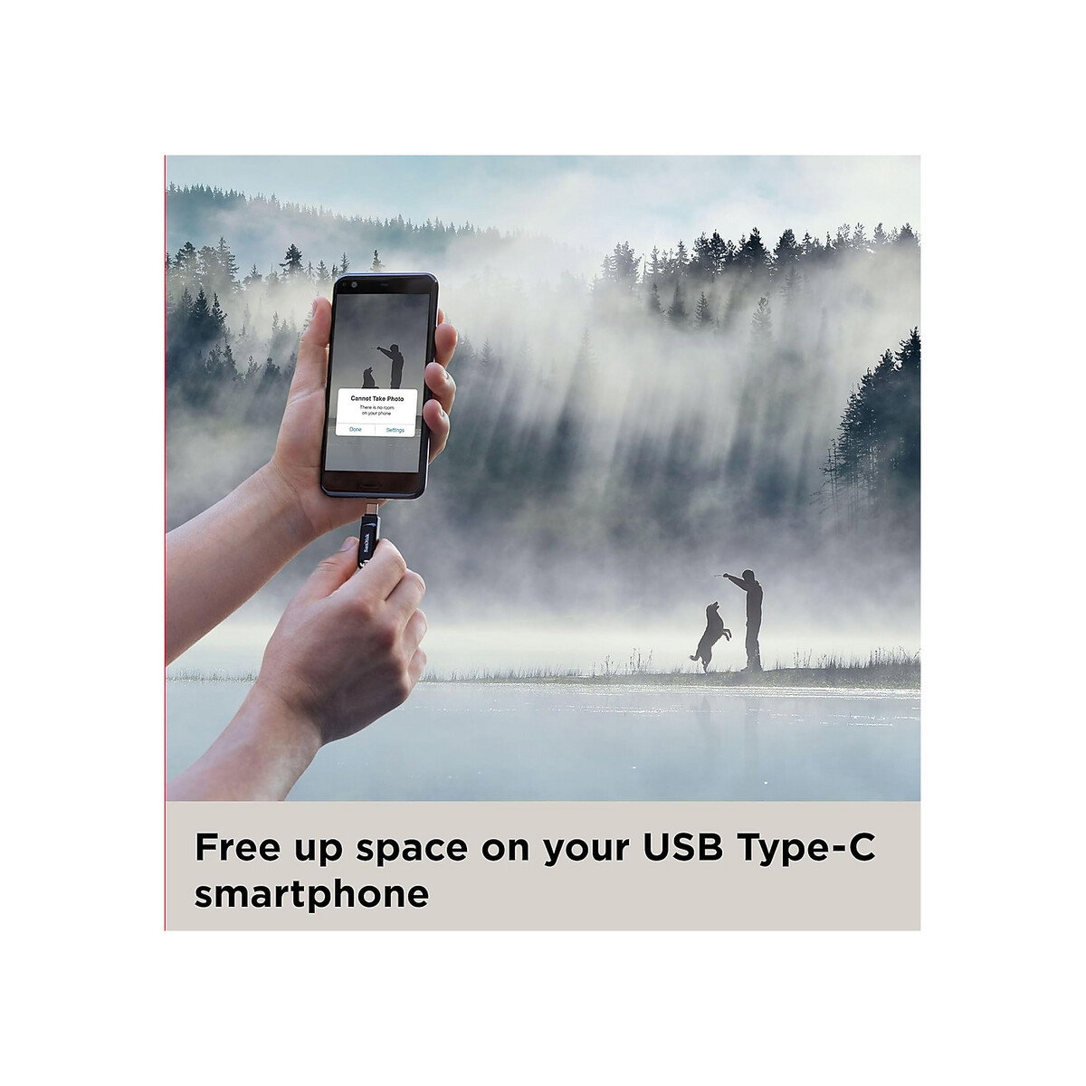 SANDISK - 256GB ULTRA DUAL DRIVE GO USB TYPE C