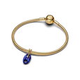 Mariner Link Dangle Charm Mariner Link Dangle Charm