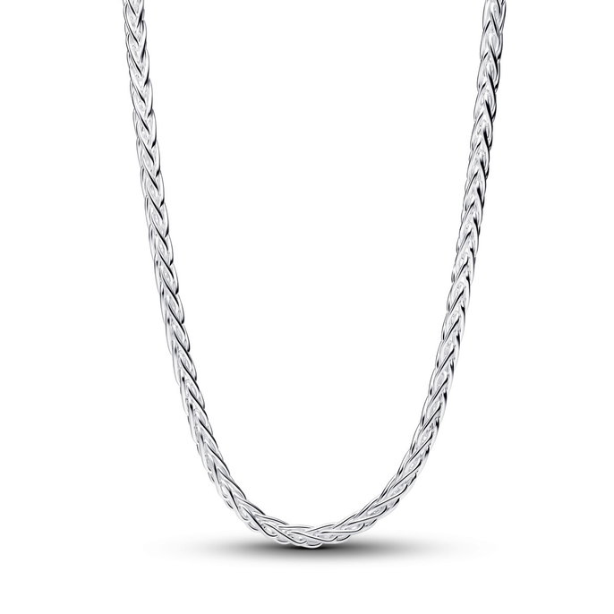 Pavé Clasp Foxtail Chain Charm Necklace