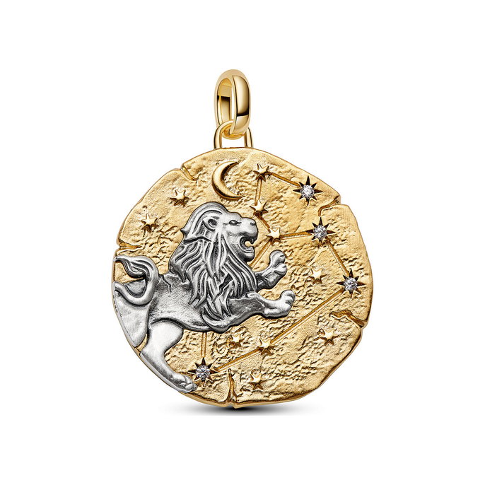 Leo Zodiac Oversized Medallion Charm