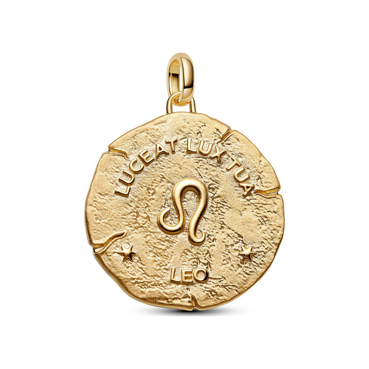 Leo Zodiac Oversized Medallion Charm