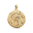 Leo Zodiac Oversized Medallion Charm Leo Zodiac Oversized Medallion Charm