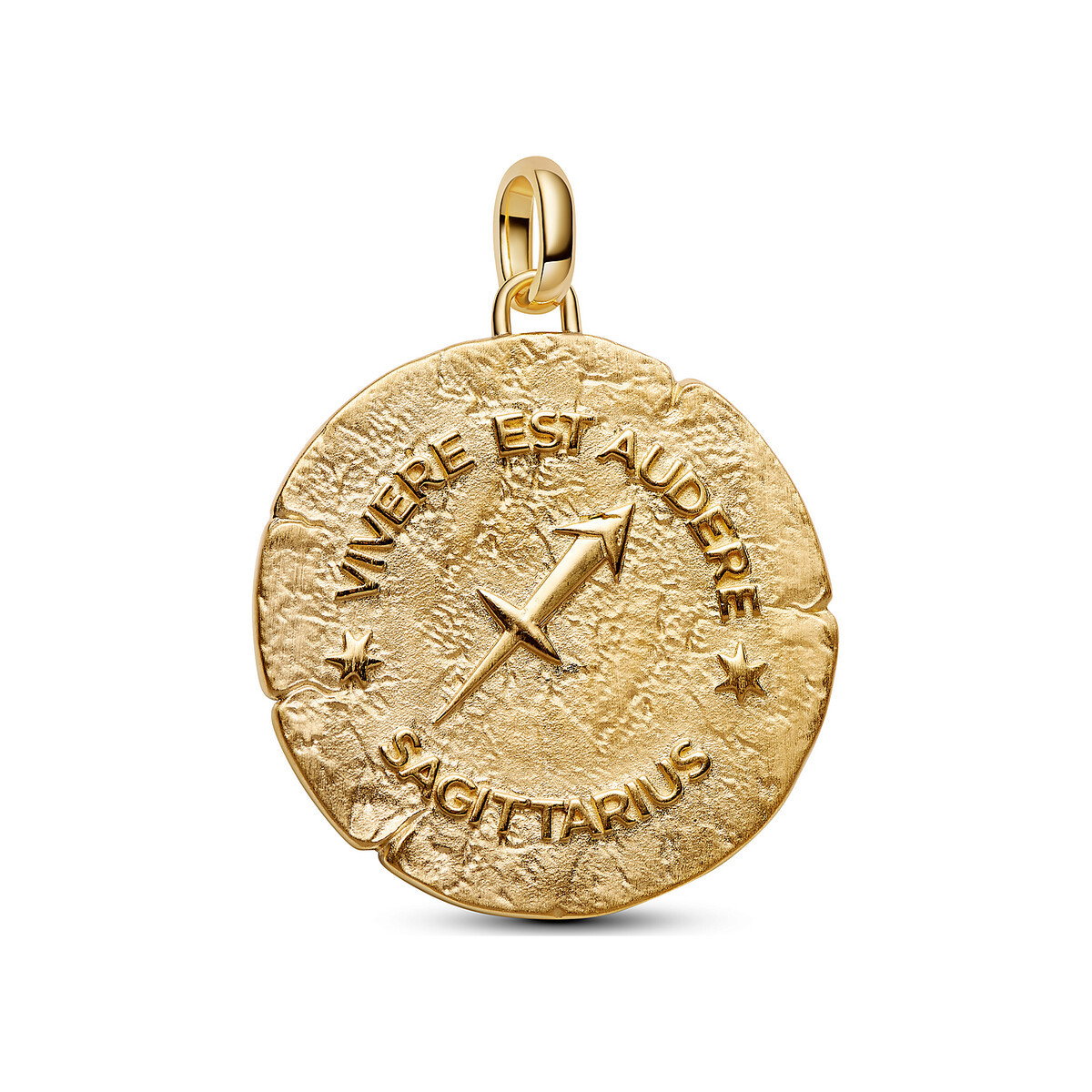 Sagittarius Zodiac Oversized Medallion Charm