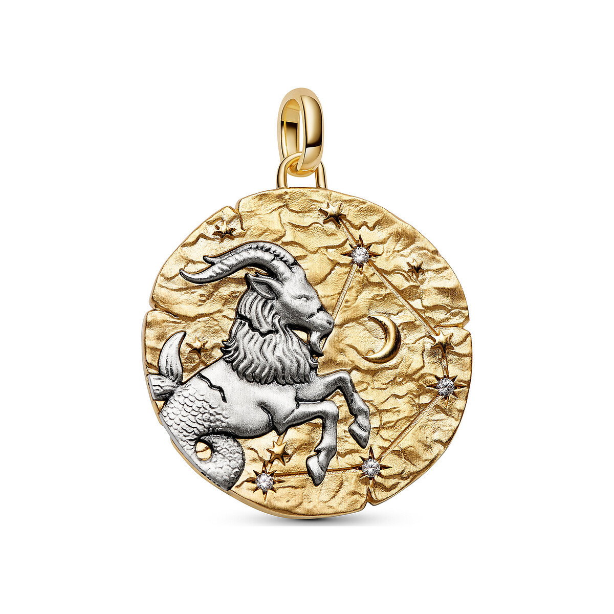 Capricorn Zodiac Oversized Medallion Charm