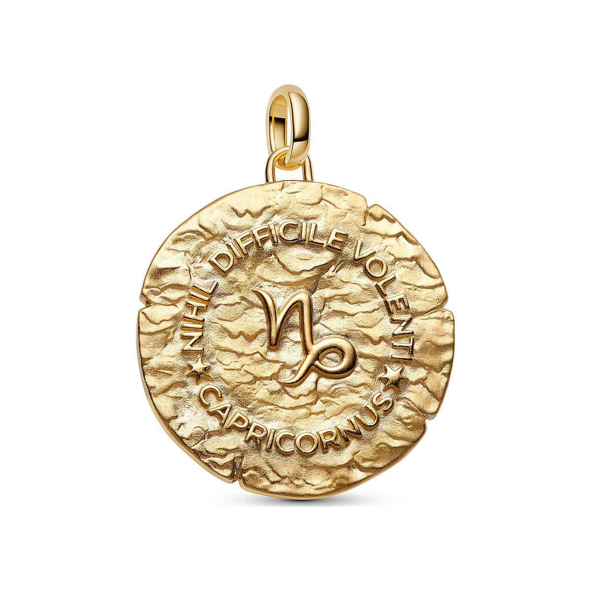 Capricorn Zodiac Oversized Medallion Charm