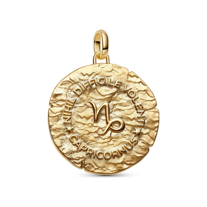 Capricorn Zodiac Oversized Medallion Charm