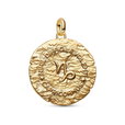 Capricorn Zodiac Oversized Medallion Charm Capricorn Zodiac Oversized Medallion Charm