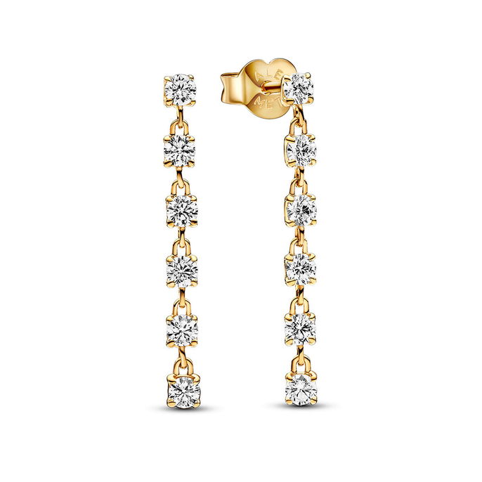 Sparkling Stones Drop Earrings Sparkling Stones Drop Earrings