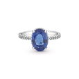Sparkling Statement Halo Ring Sparkling Statement Halo Ring