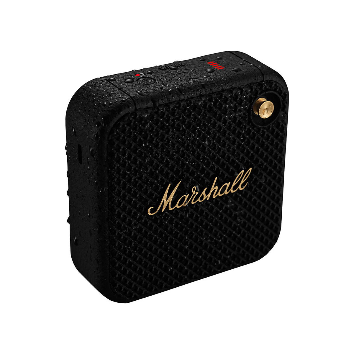 Marshall - Willen Bluetooth Portable Speaker