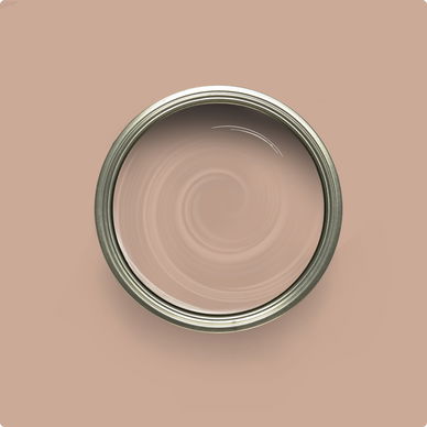 Furniture Painting Starter Kit