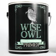 Stain Eliminating Primer Stain Eliminating Primer