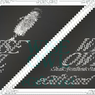 Wise Owl Paint eGift Card