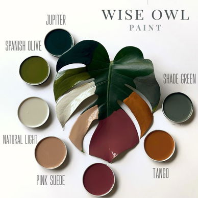 One Hour Enamel Paint