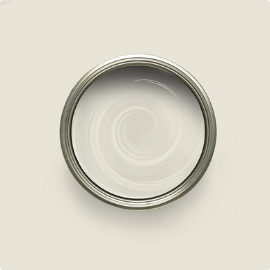 Paint Samples: One Hour Enamel Paint