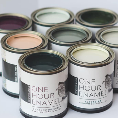 Paint Samples: One Hour Enamel Paint