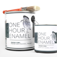 Paint Samples: One Hour Enamel Paint Paint Samples: One Hour Enamel Paint