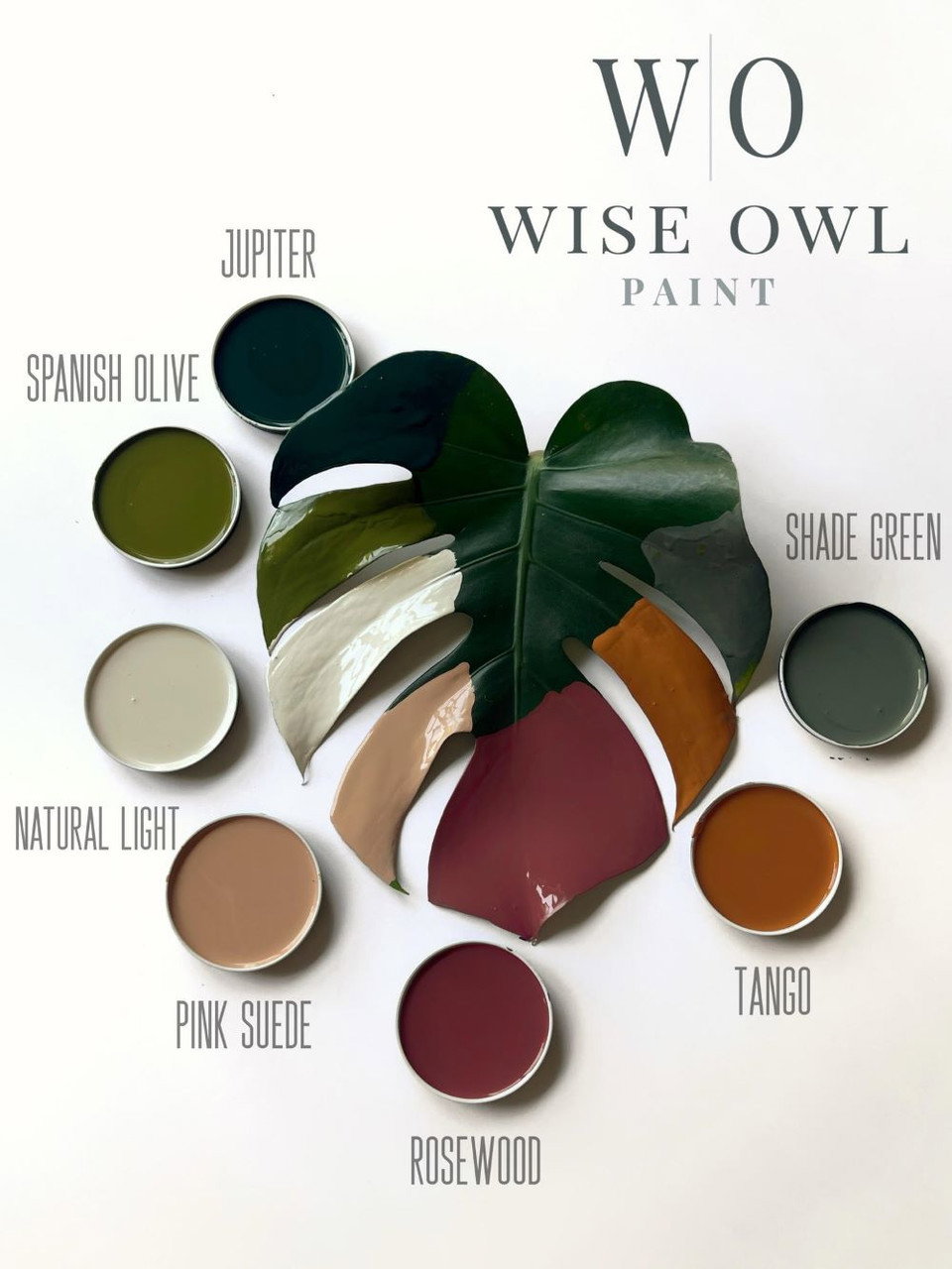 Paint Samples:  One Hour Enamel Paint
