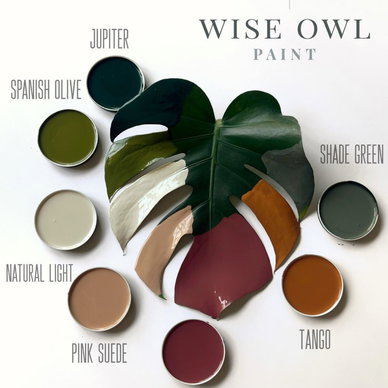 Paint Samples: One Hour Enamel Paint