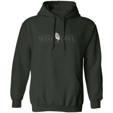 G185 Gildan Pullover Hoodie