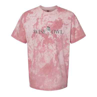 Comfort Colors Adult Color Blast Tee