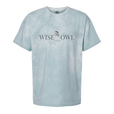 Comfort Colors Adult Color Blast Tee Comfort Colors Adult Color Blast Tee
